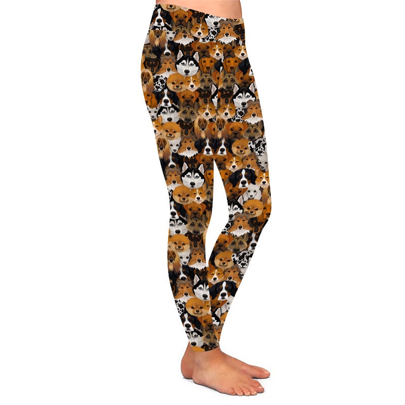 Dog Leggings